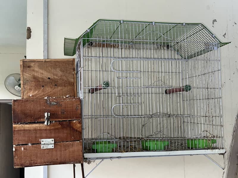 Raw Breeder Pair 1