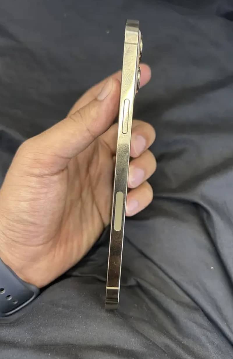 Apple iPhone 12 Pro Max 0