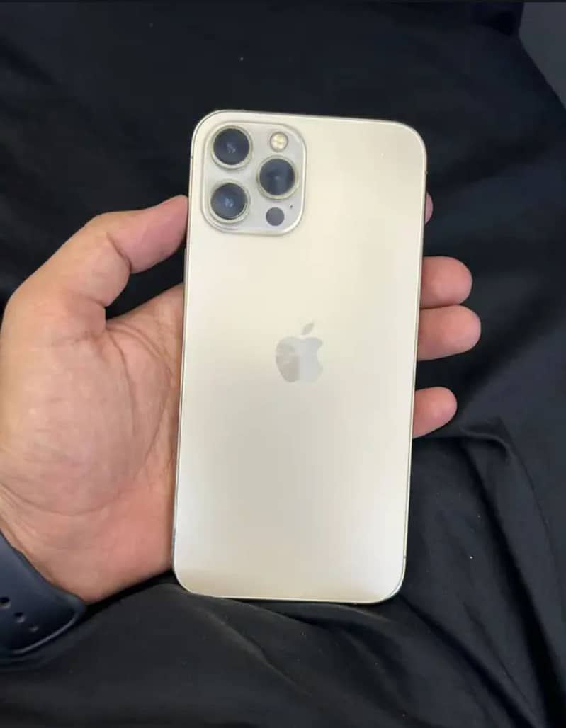 Apple iPhone 12 Pro Max 1