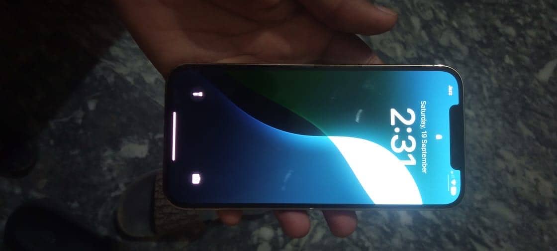 Apple iPhone 12 Pro Max 2