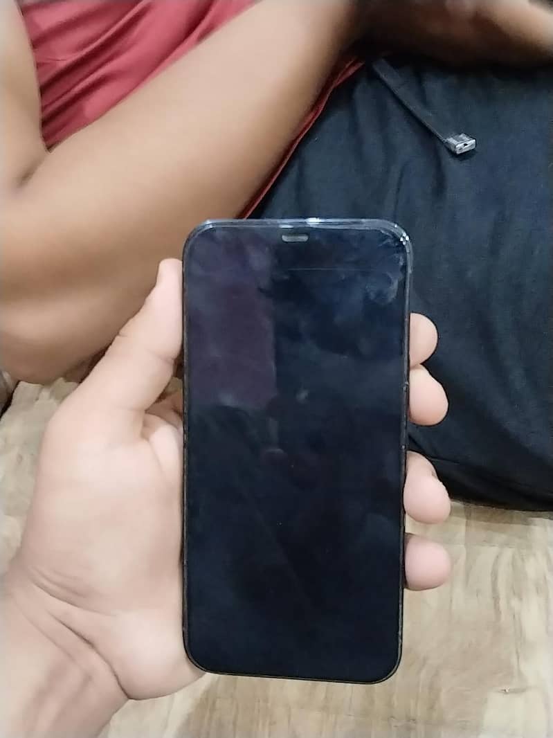 Apple iPhone 12 Pro Max 1