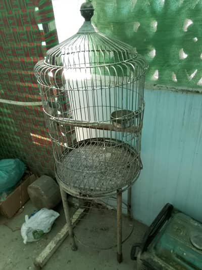 parrot cage