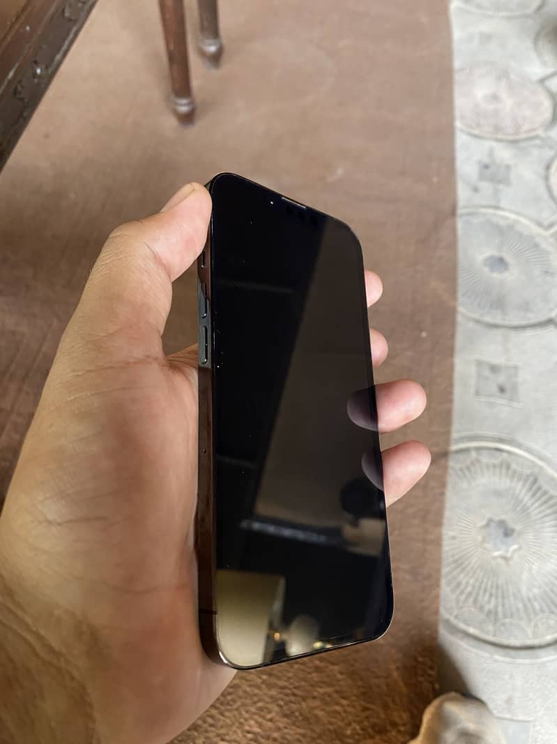 Apple iPhone 13 Pro 1