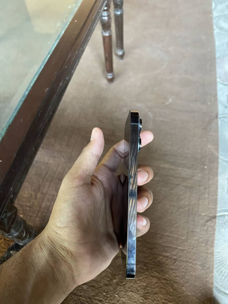Apple iPhone 13 Pro 6
