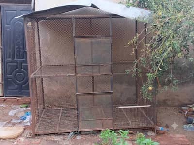 Cage for Hen/parrots/birds with two separate portion 6 ft × 6ft × 4ft