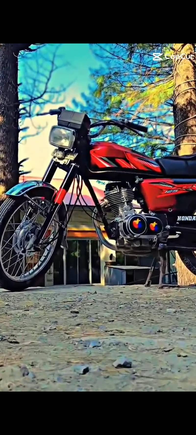 125 2011 model 2