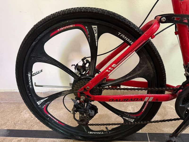 daurada imported cycle 1