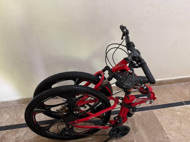 daurada imported cycle 4