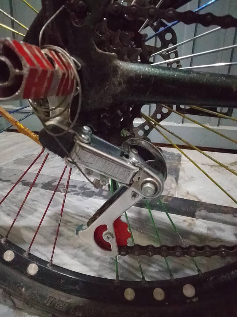 Champion Cycle 1