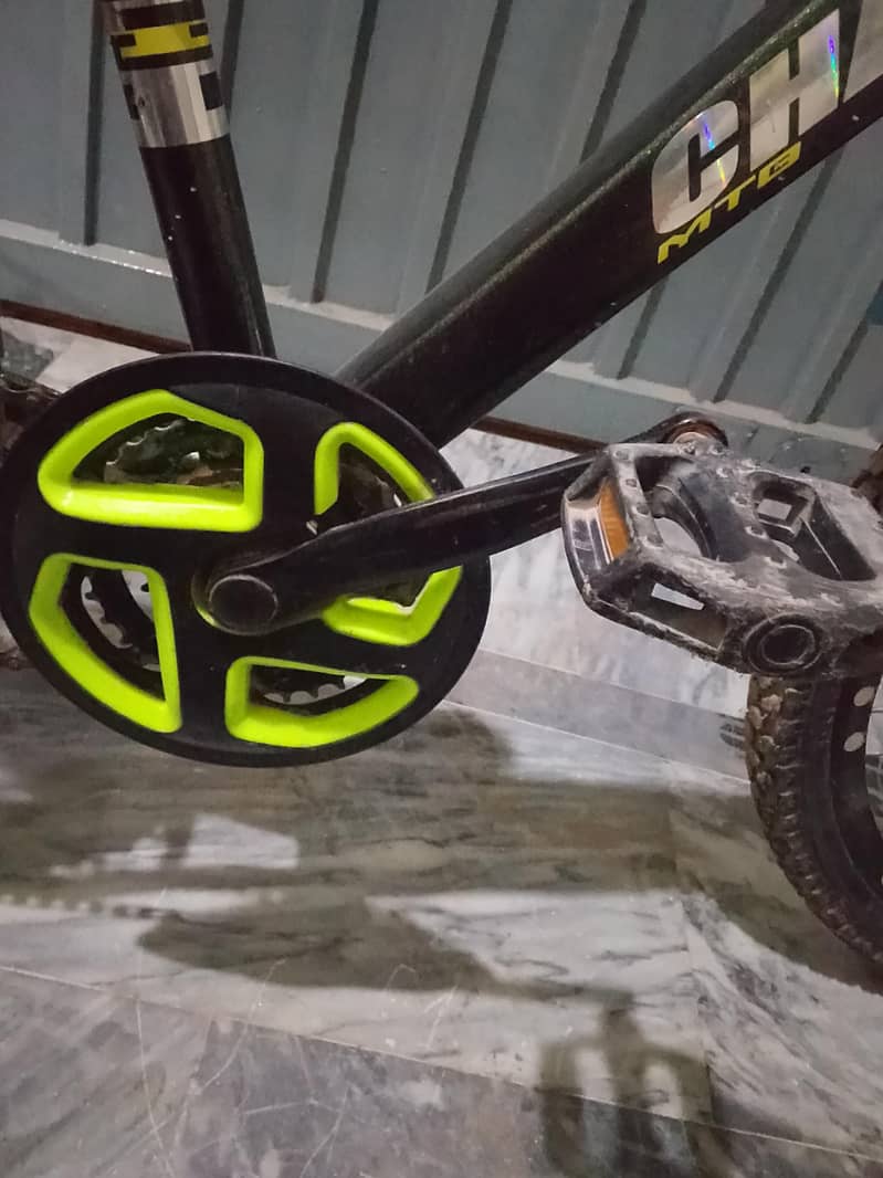 Champion Cycle 2