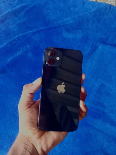 Apple iPhone 12