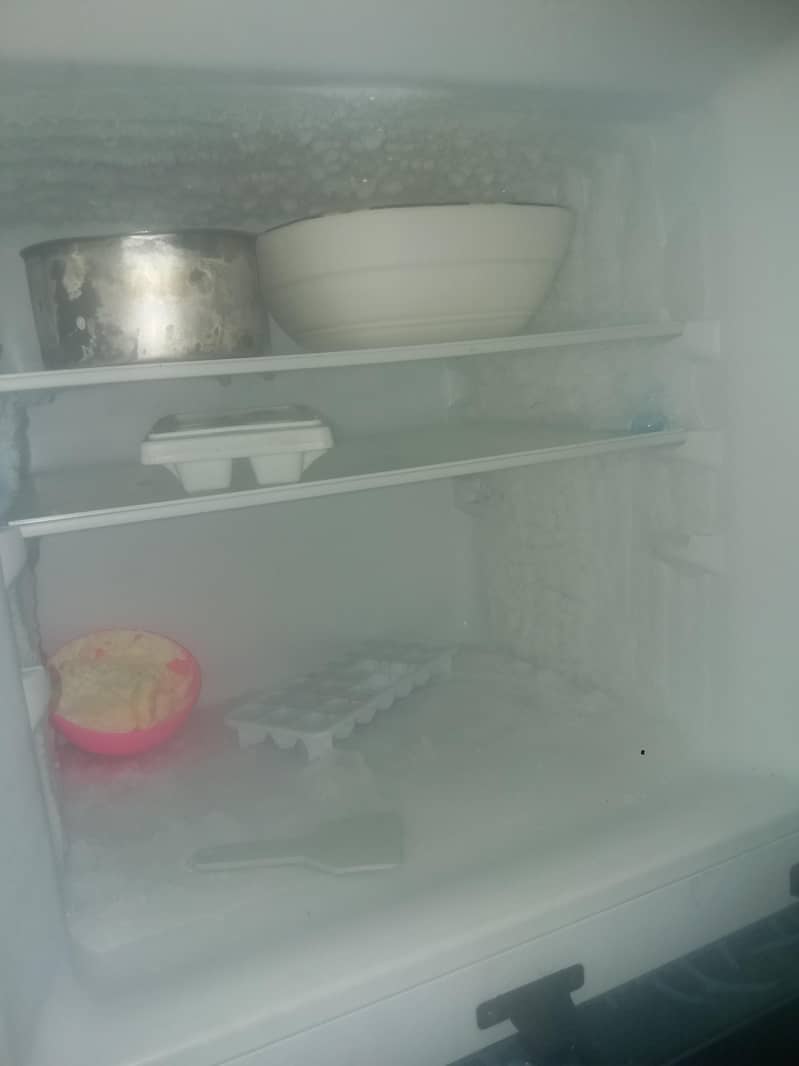 fridge 2