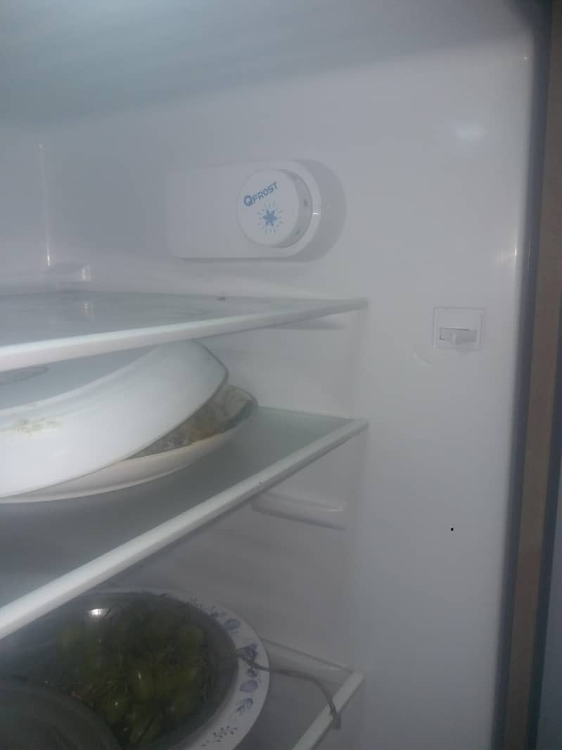 fridge 3
