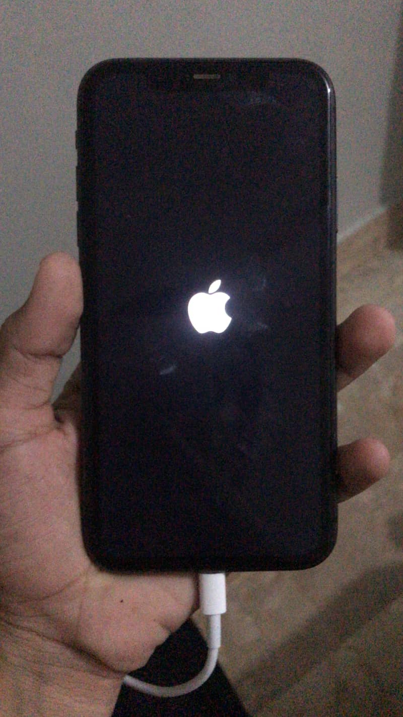 Apple iPhone 11 2