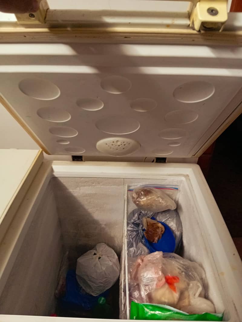 haier deep freezer 4