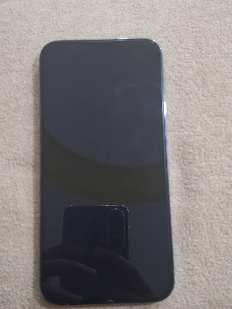 Apple iPhone 13 Pro Max 2