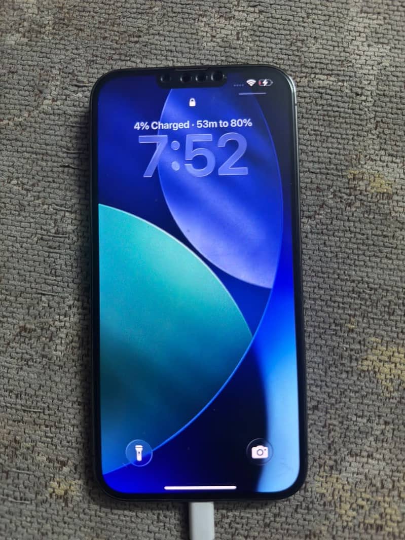 Apple iPhone 13 Pro Max 1