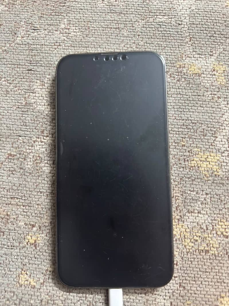 Apple iPhone 13 Pro Max 3
