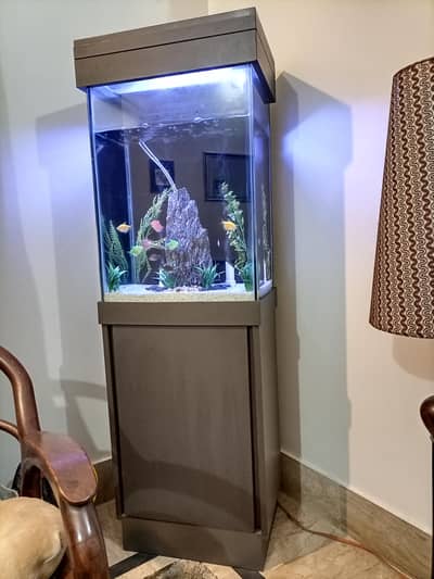 Complete Aquarium Setup – Ready to Use
