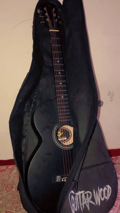 swift horse guiter. .