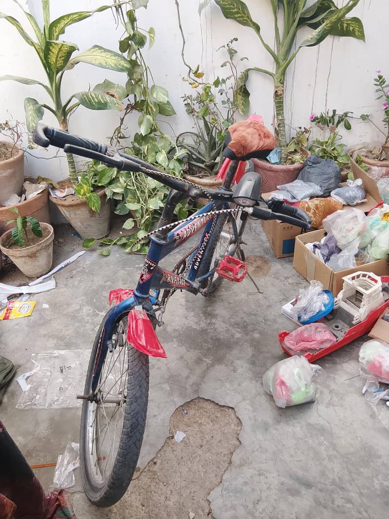cycle 1