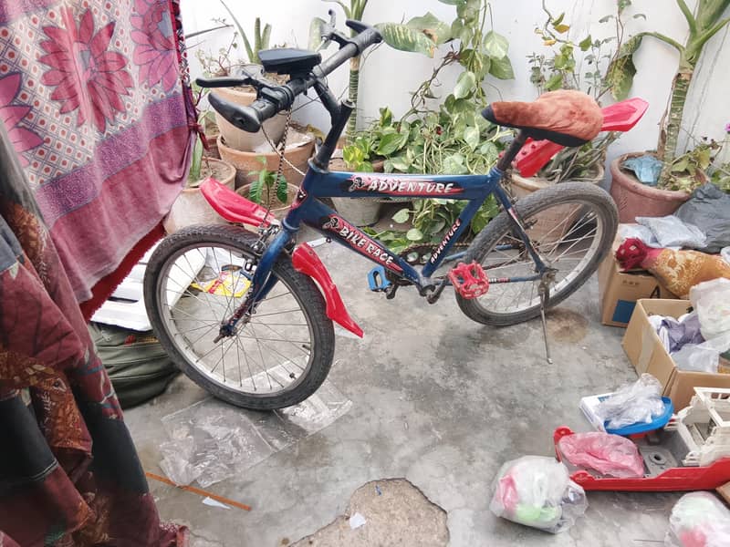 cycle 2