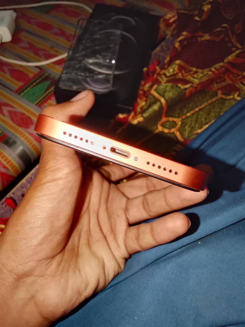 Apple iPhone 16 Pro Max 1