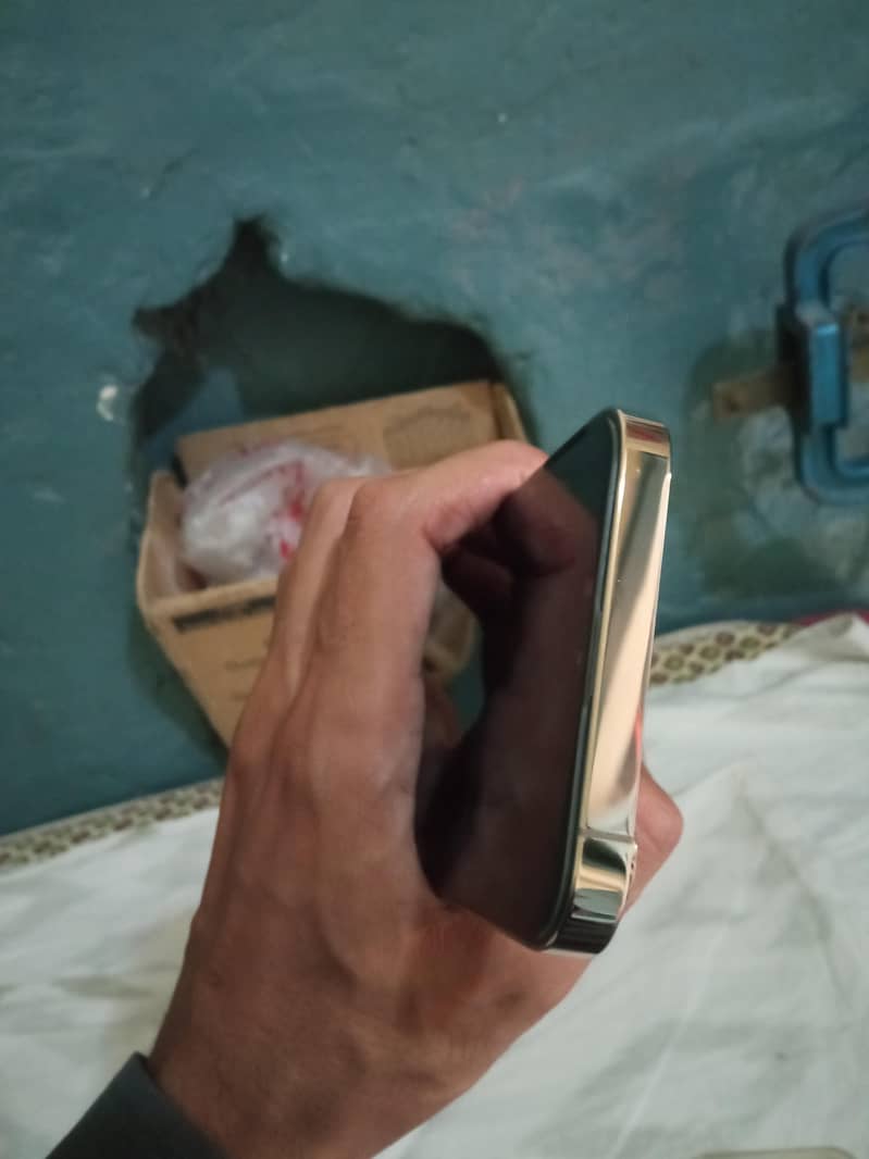 Apple iPhone 13 Pro Max 1