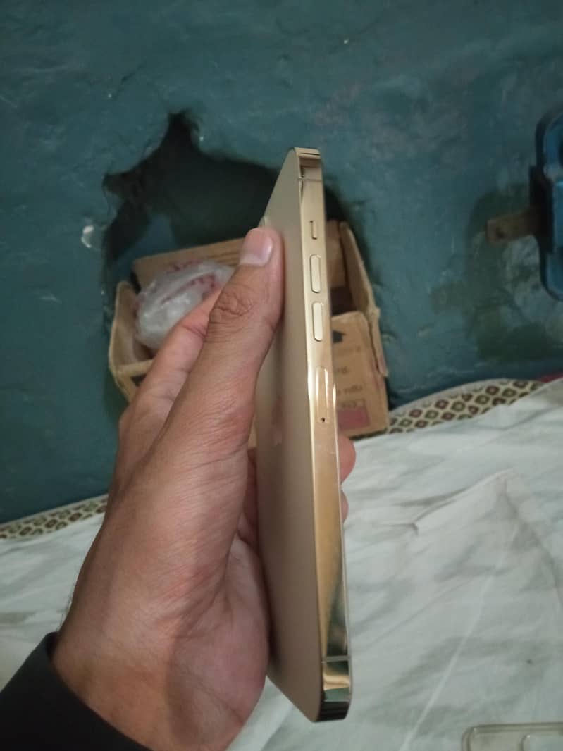 Apple iPhone 13 Pro Max 2