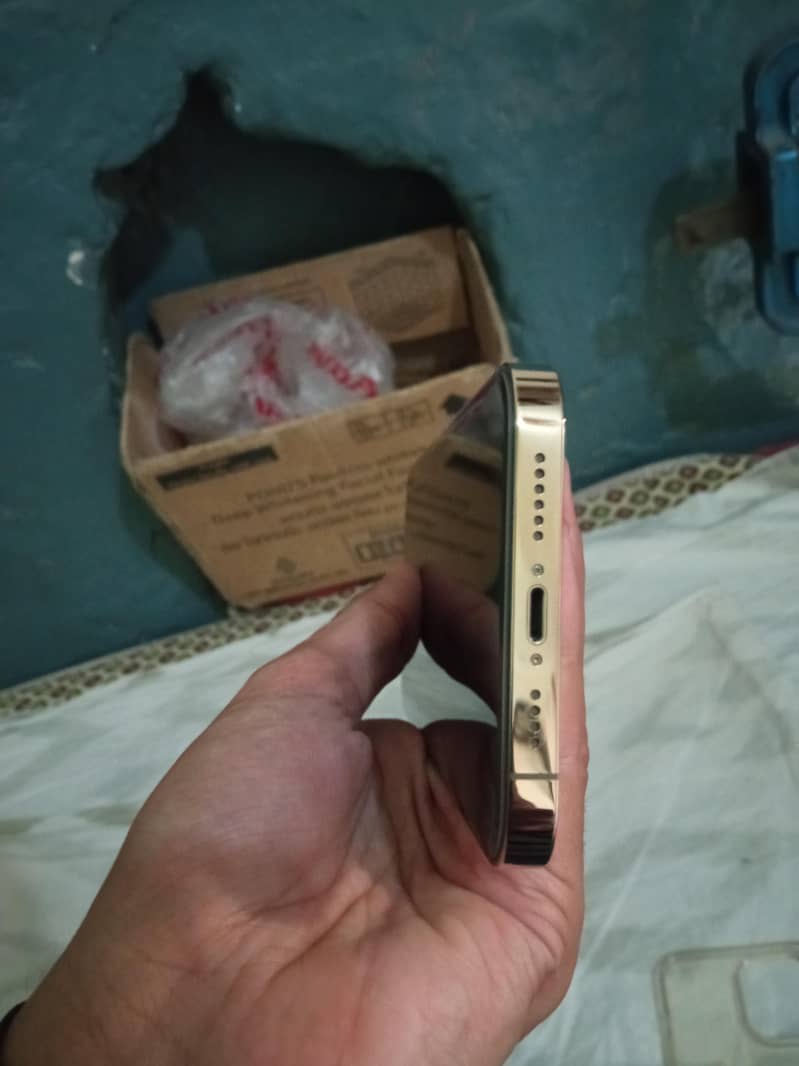Apple iPhone 13 Pro Max 3