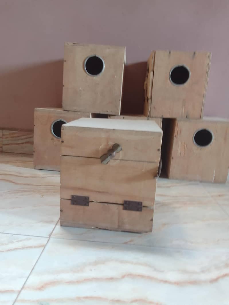 Nesting Box or Egg boxes 1