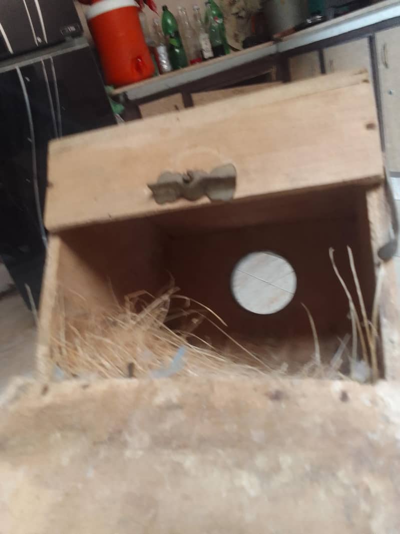 Nesting Box or Egg boxes 2