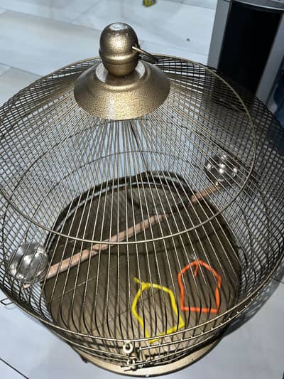 Raw parrot cage