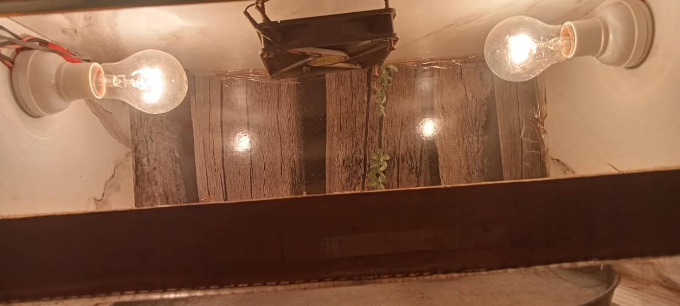 best ege filter 2
