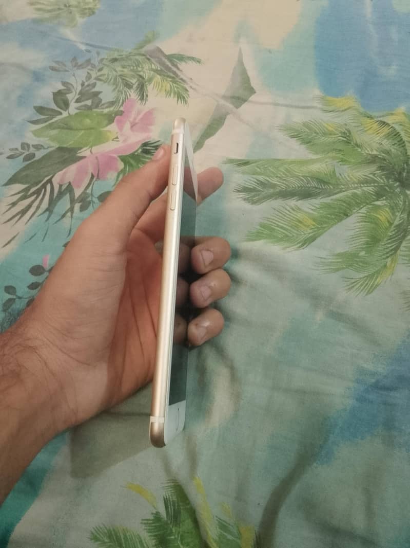 Apple iPhone 7 Plus 1