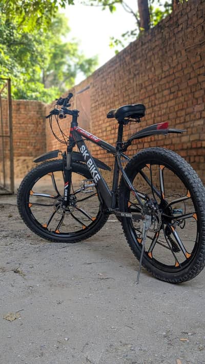 mountain bicycle