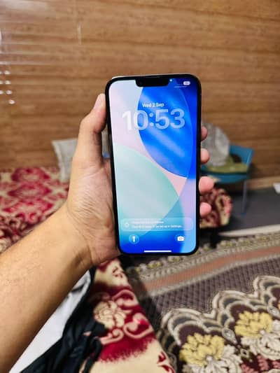 Apple iPhone 13 Pro Max