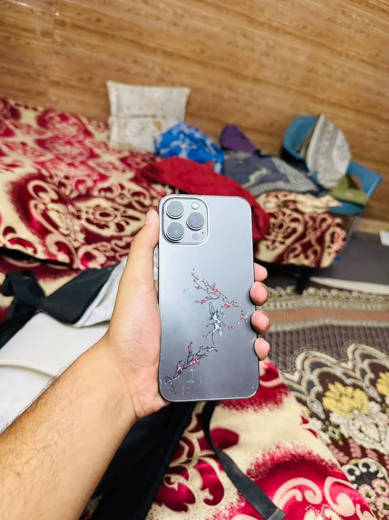 Apple iPhone 13 Pro Max 1