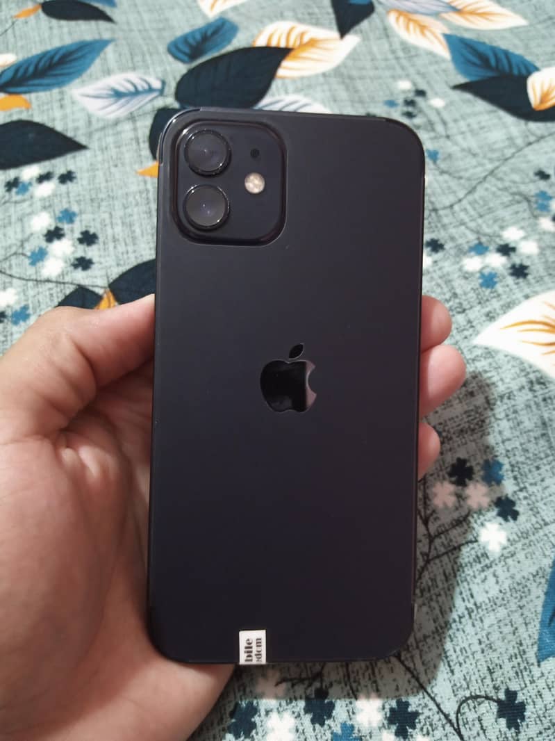 Apple iPhone 12 1