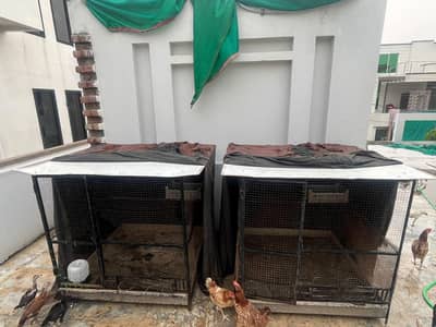4 Cages for sale