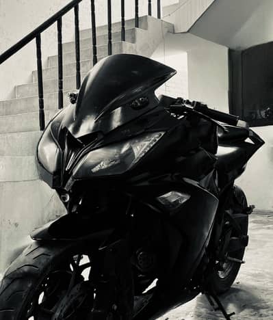 Kawasaki replica 250 cc single