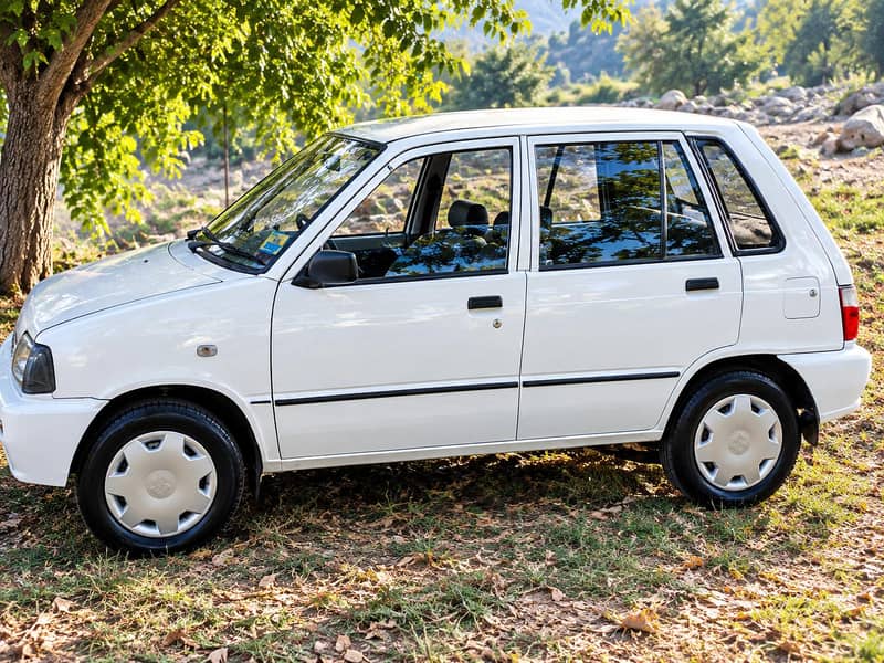 Suzuki Mehran VX 2017 1