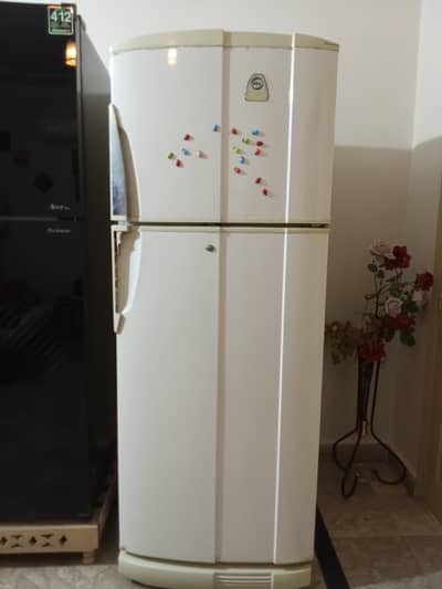 Pel Fridge For Sale