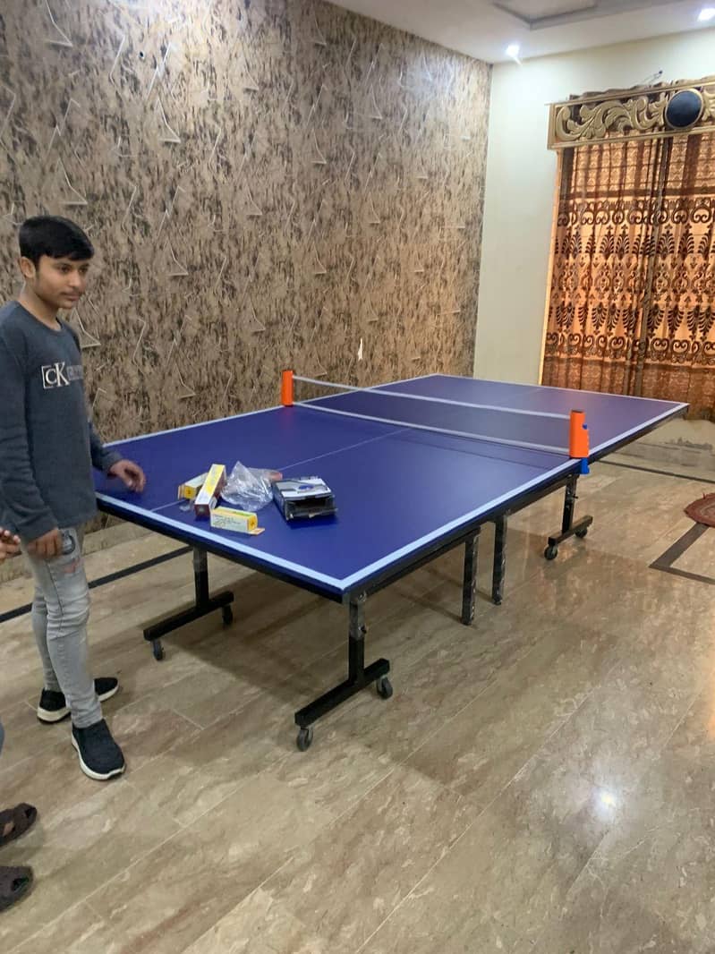 Table Tennis Table 1