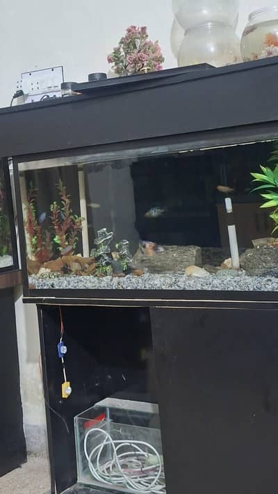 aquarium available 3 fut L  width Wood stad 2 pice available