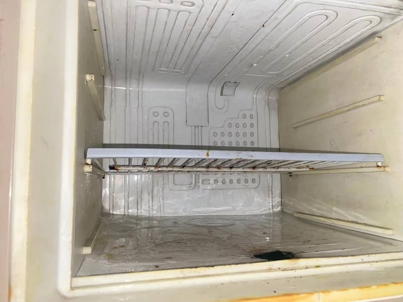 fridge normal condition 2