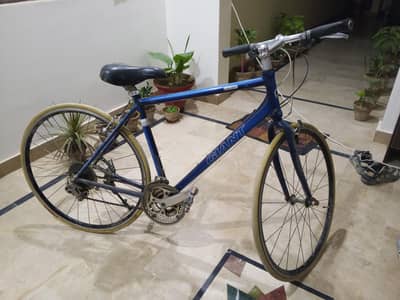 cycle giant made in Japan