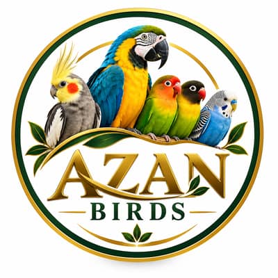 Azan kashif 