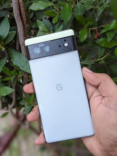 Google Pixel 6 / 8GB - 256GB