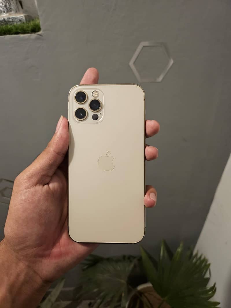 Apple iPhone 12 Pro 0